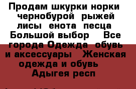 Продам шкурки норки, чернобурой, рыжей лисы, енота, песца. Большой выбор. - Все города Одежда, обувь и аксессуары » Женская одежда и обувь   . Адыгея респ.